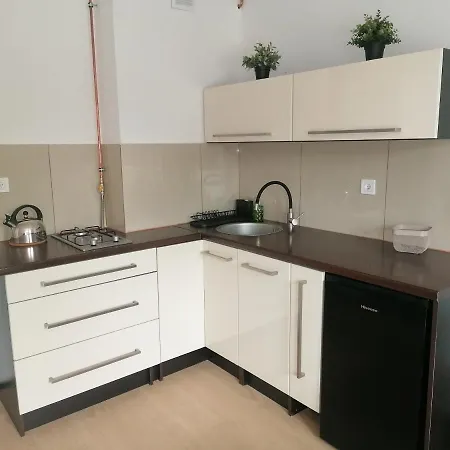 Alicja * Siemianowice Śląskie